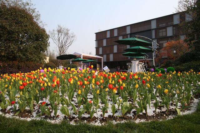 1460525088565818ToqX.jpg 8.jpg